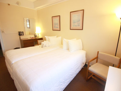 Standard Room Two Twin Beds